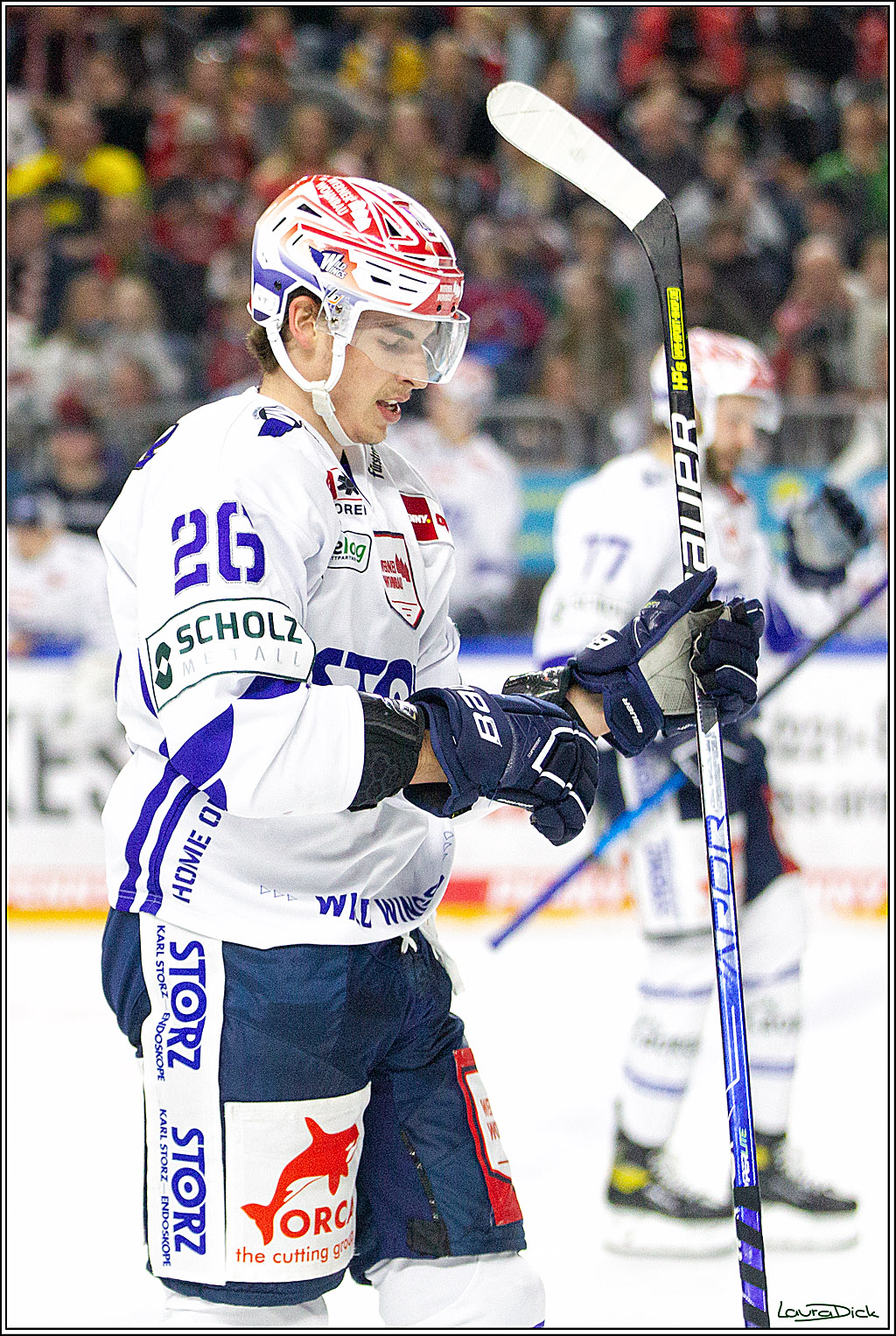 PENNY DEL;  Koelner Haie - Schwenninger Wild Wings; Koeln, 08.10.2021
